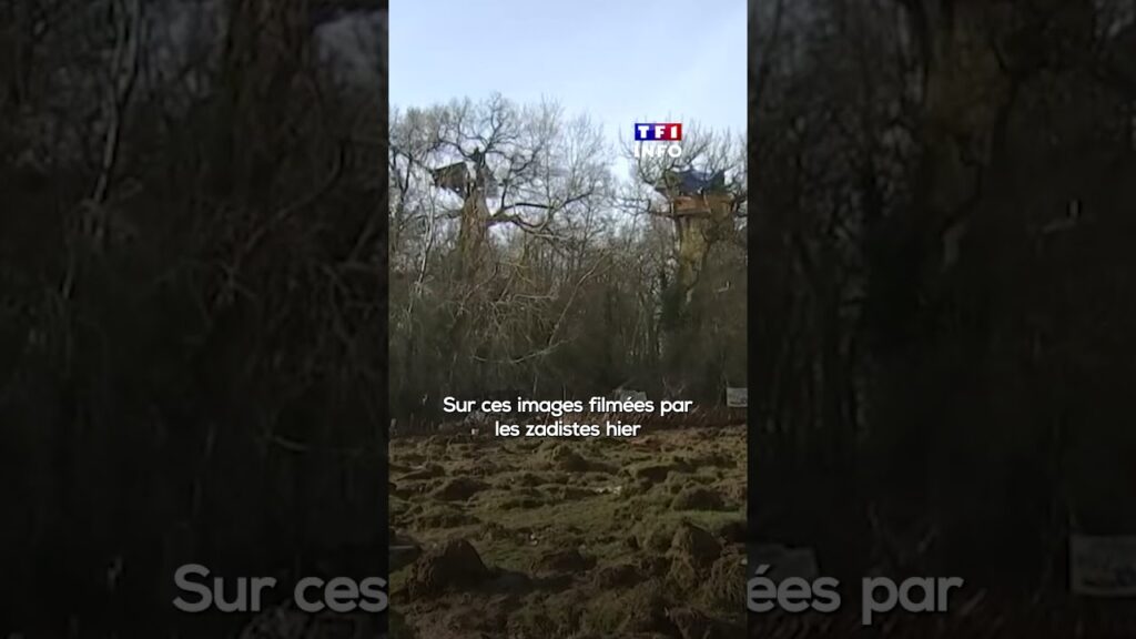 Enjeux et tensions : la résistance des opposants à l’A69 face aux forces de l’ordre